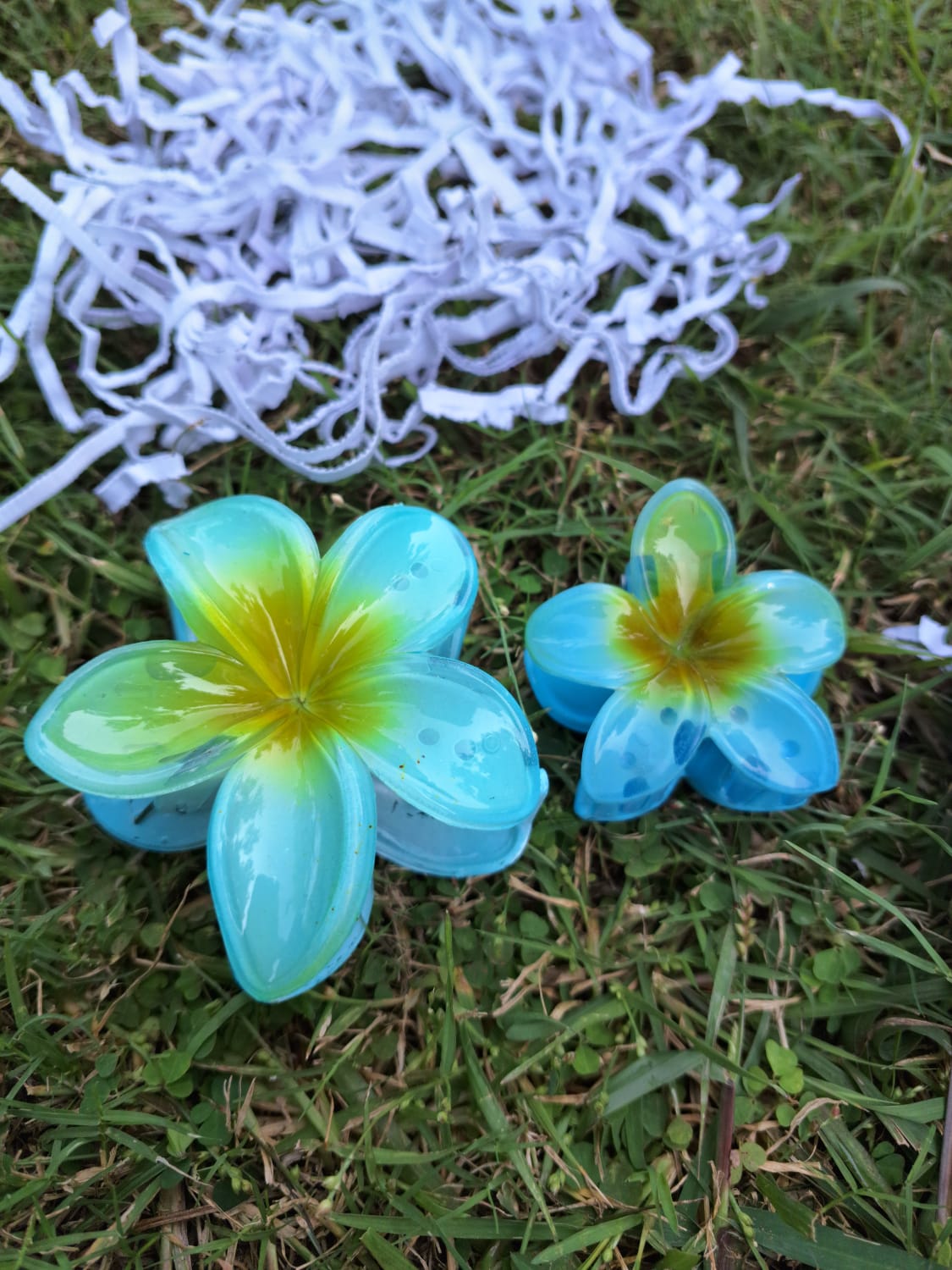 Golden Glow Crystal & Pearl Earrings Gift Hamper Set